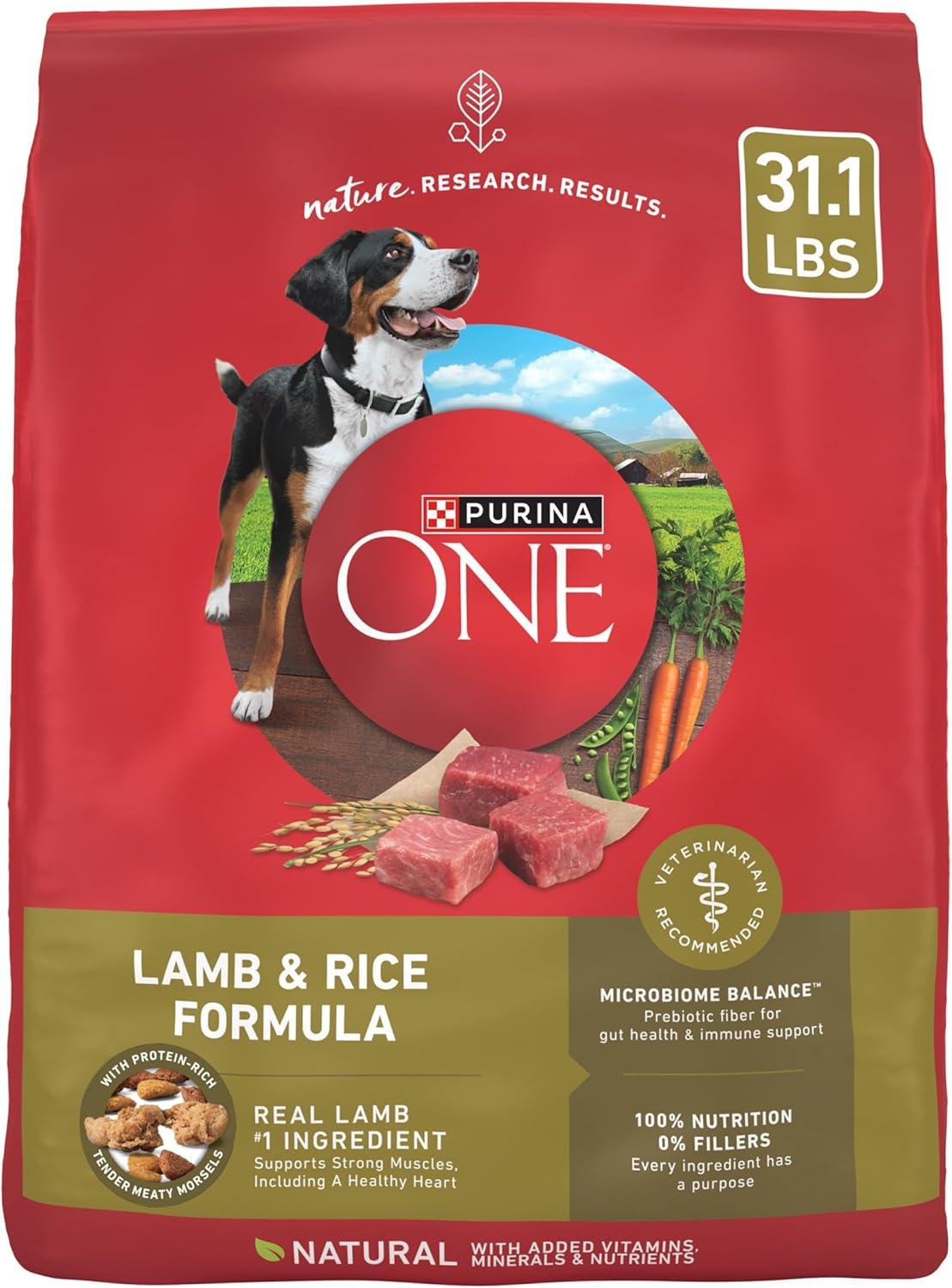 Purina ONE Lamb & Rice Dry Dog Food (31.1 lb) - Dog food